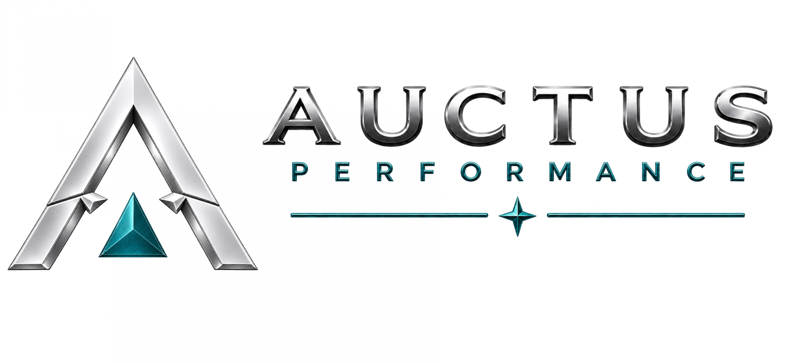 Auctus Performance